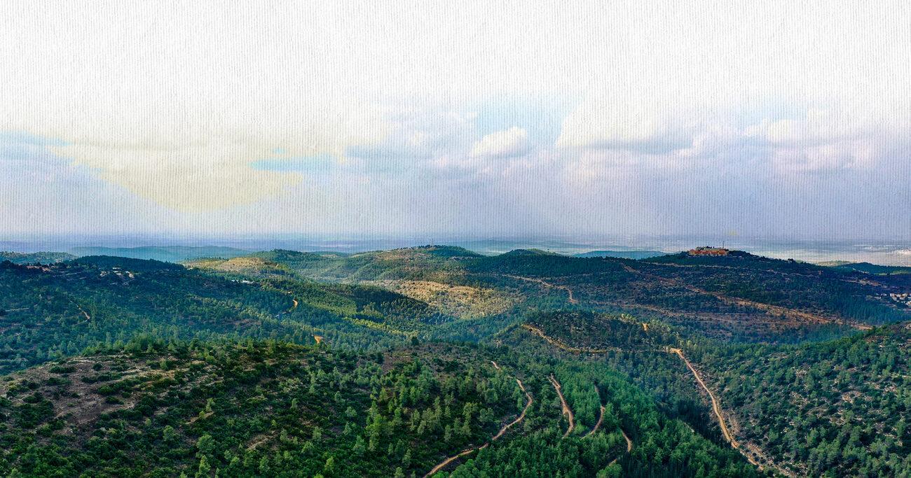 Panorama