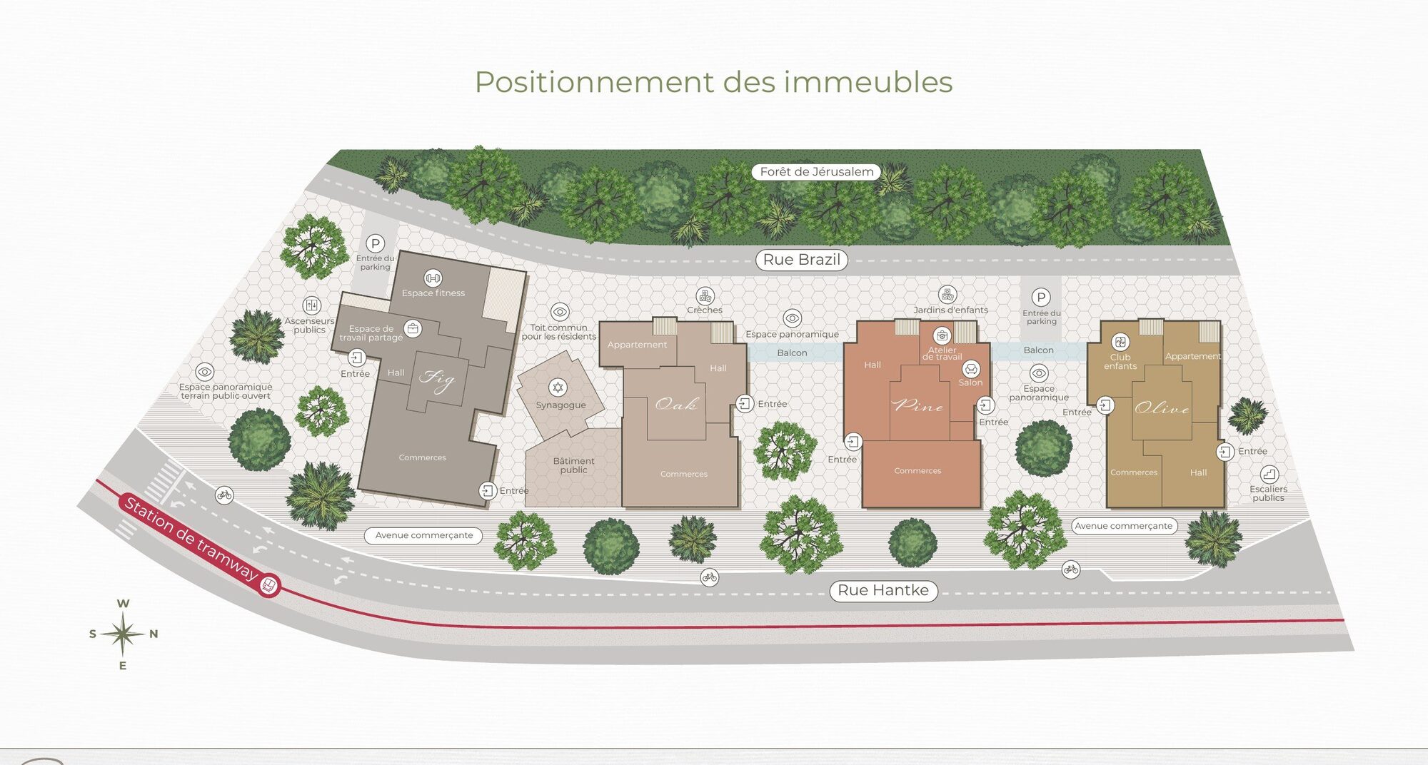 Positionnement des immeubles : Fig, Oak, Pine, Olive